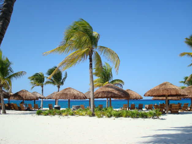 Palmen am strand von Cozumel, Mexiko