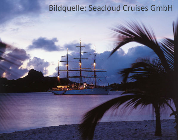 Seacloud Cruises: Schiff auf See vor Strand mit Palme